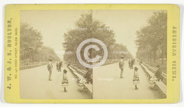 The Mall, 1873/81. Creator: J.W. & J.S. Moulton.