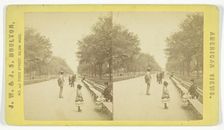 The Mall, 1873/81. Creator: J.W. & J.S. Moulton