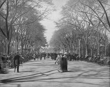 The Mall, Central Park, New York c1897. Creator: Unknown