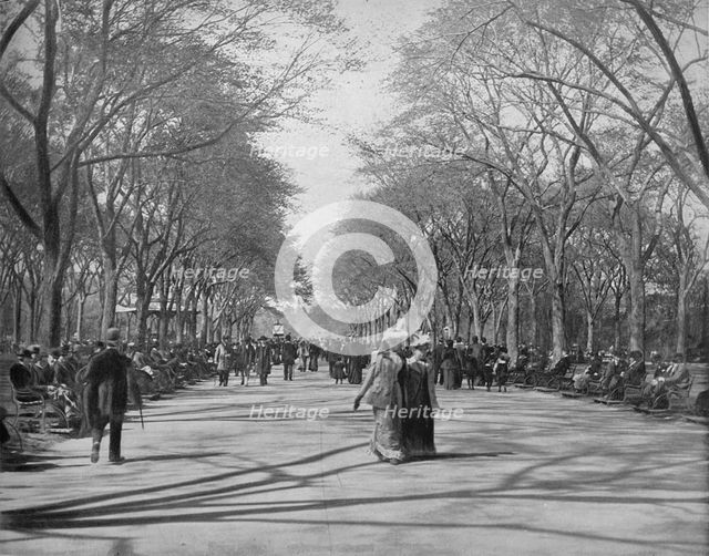'The Mall, Central Park, New York', c1897. Creator: Unknown.