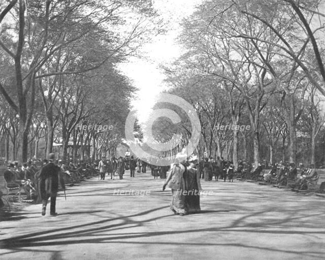 The Mall, Central Park, New York, USA, c1900.  Creator: Unknown.