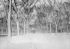 The Mall, Central Park, between c1910 and c1915. Creator: Bain News Service
