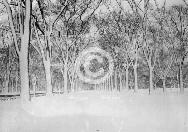 The Mall, Central Park, between c1910 and c1915. Creator: Bain News Service.