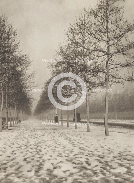 The Mall in winter. From the album: Photograph album - London, 1920s. Creator: Harry Moult.