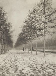 The Mall in winter. From the album: Photograph album - London, 1920s. Creator: Harry Moult