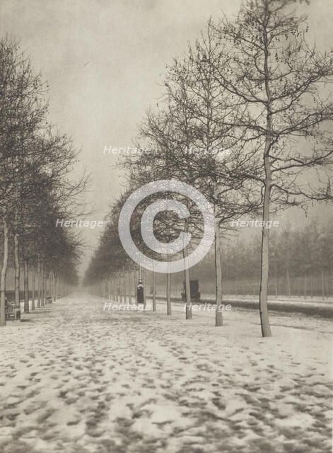 The Mall in winter. From the album: Photograph album - London, 1920s. Creator: Harry Moult.
