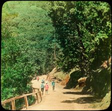 The Mall Road, Simla, India, late 19th or early 20th century