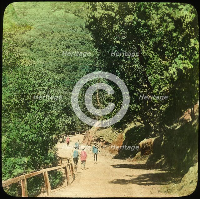 The Mall Road, Simla, India, late 19th or early 20th century. Artist: Unknown