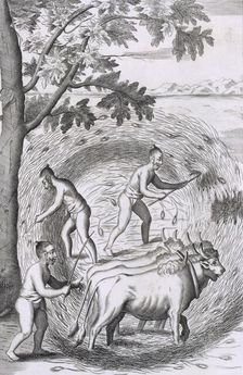 The manner of treading out their rice, pub. 1681. Creator: Robert Knox (1641-1720)