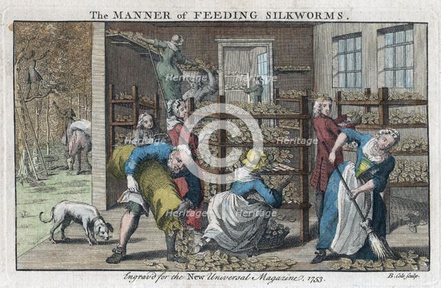 'The Manner of Feeding Silkworms', 1753. Artist: Benjamin Cole