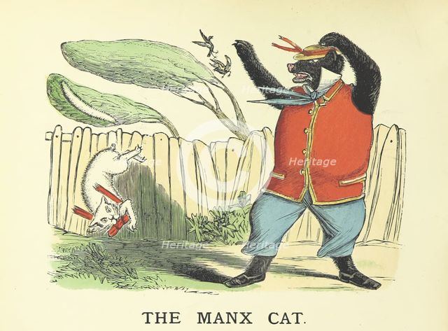 The Manx Cat, 1883.  Creator: Edward Voullaire Campbell.