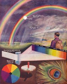 The Many Colours That Make Up White Light 1935