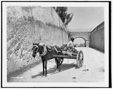 The market delivery, Nassau, Bahama Islds., c1901. Creator: William H. Jackson