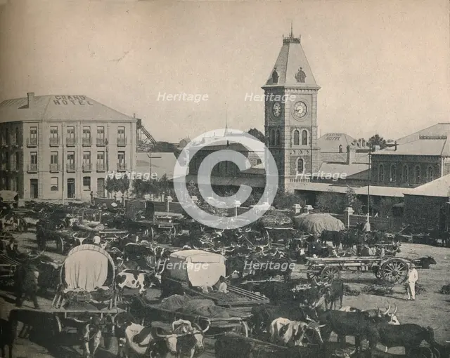 'The Market, Kimberley', c1900. Creator: Unknown.