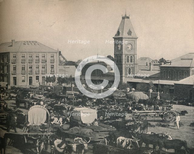 'The Market, Kimberley', c1900. Creator: Unknown.