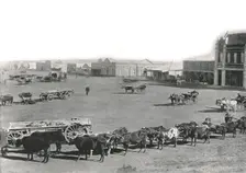 The Market Square, Johannesburg, South Africa, 1895. Creator: William Laws Caney