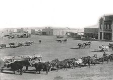 The Market Square, Johannesburg, South Africa, 1895. Creator: William Laws Caney