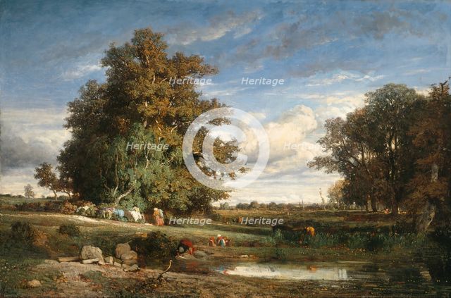 The Marsh, 1840. Creator: Constant Troyon.