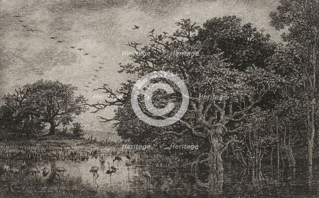 The Marsh with Storks, c. 1851. Creator: Charles François Daubigny (French, 1817-1878); Auguste Delâtre (2nd state); A. Salmon (6th state).