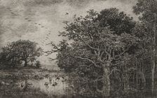 The Marsh with Storks, c. 1851. Creator: Charles François Daubigny (French, 1817-1878); Auguste Delâtre (2nd state); A. Salmon (6th state)