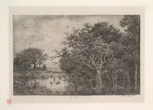 The Marshes, 1851. Creator: Charles Francois Daubigny