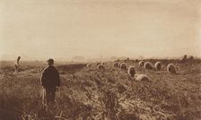 The Marshes in June, 1890-1891, printed 1893. Creator: Dr Peter Henry Emerson