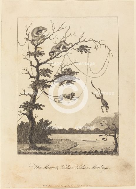 The Mecoo & Kisbee Kishee Monkeys, 1793. Creator: William Blake.