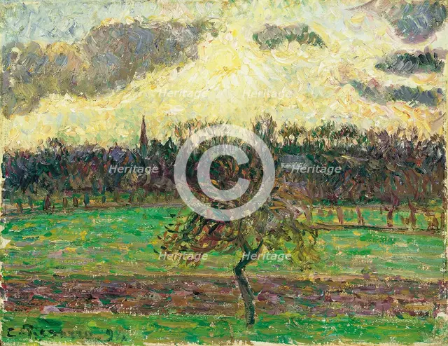 The Meadows at Éragny, Apple Tree, 1894. Artist: Pissarro, Camille (1830-1903)