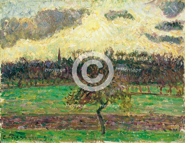 The Meadows at Éragny, Apple Tree, 1894. Artist: Pissarro, Camille (1830-1903)