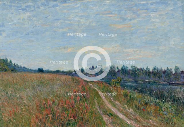 The meadow, c1880. Creator: Sisley, Alfred (1839-1899).