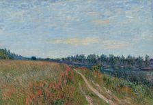 The meadow, c1880. Creator: Sisley, Alfred (1839-1899)