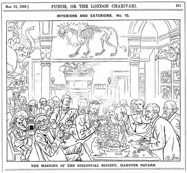 'The Meeting of the (Royal) Zoological Society, Hanover Square', London, 1885. Creator: Harry Furniss.