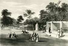 The Menagerie in Barrackpore Park, 1820 (1925). Creator: Unknown
