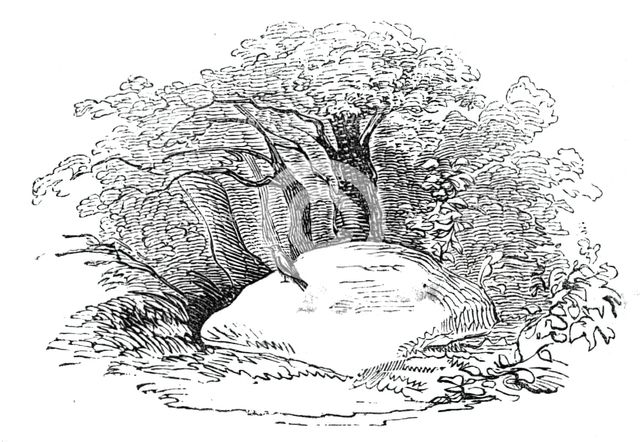 The "Mickle Stane" - Tam o'Shanter, 1844. Creator: Unknown.