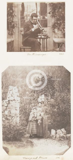 The Microscope; Thereza and Elinor, 1853-56. Creator: John Dillwyn Llewelyn.