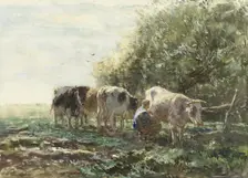 The Milking Pen, 1854-1910. Creator: Willem Maris