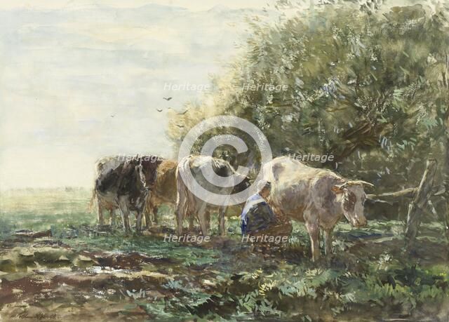 The Milking Pen, 1854-1910. Creator: Willem Maris.