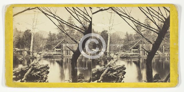 The Mill Pond near Laurel House, 1869/1901. Creator: Anthony & Company.