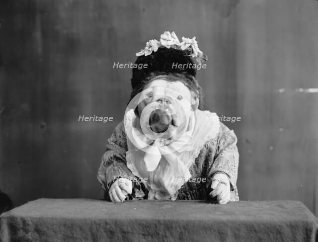 The Missis, c1905. Creator: Unknown.