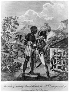 The Mode of training Blood Hounds in St Domingo and of exercising them by Chasseurs, 1805. Artist: John Barlow