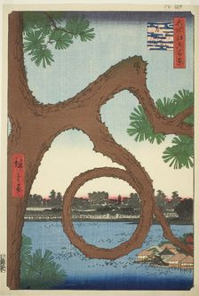 The Moon Pine on the Temple Grounds at Ueno (Ueno sannai Tsuki no matsu), from the series ..., 1857. Creator: Ando Hiroshige