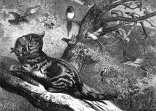 The months: April, 1871. Creator: Horace Harral