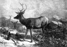 The Months: August, 1871. Creator: William James Palmer