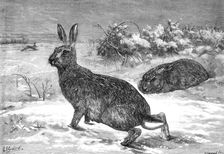 The months: February, 1871. Creator: Horace Harral