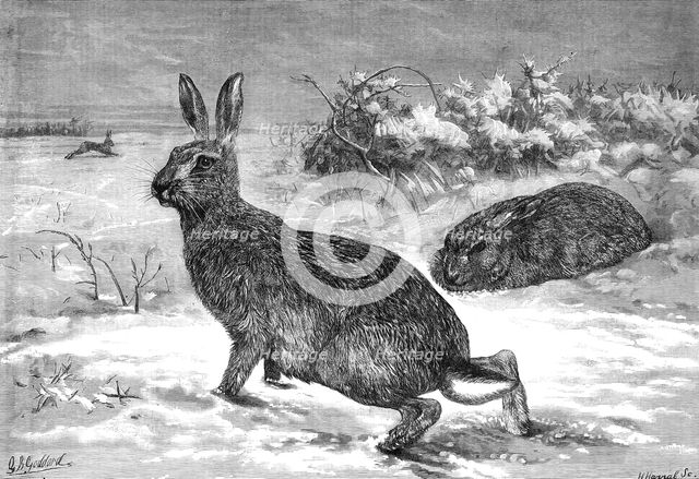 The months: February, 1871. Creator: Horace Harral.