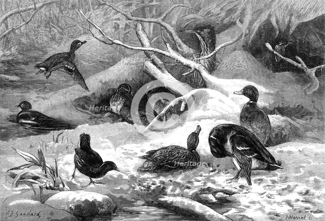 The months: January, 1871. Creator: Horace Harral.