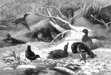 The months: January, 1871. Creator: Horace Harral