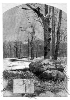 The Months: January, 1880. Creator: Unknown