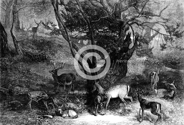 The Months: July, 1871. Creator: Horace Harral.