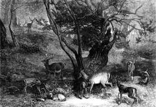 The Months: July, 1871. Creator: Horace Harral